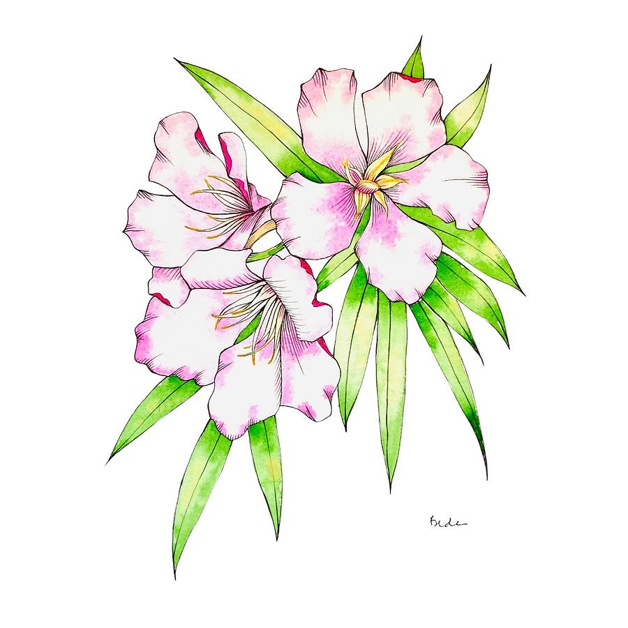 Tropical Flower in Opera Rose Painting by Catherine Bede