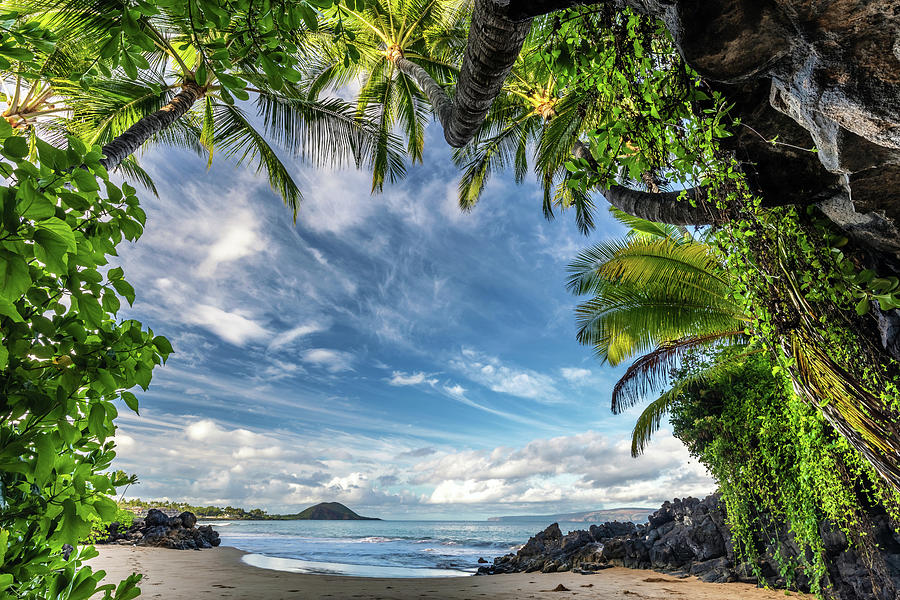 Tropical Frame Photograph by Pierre Leclerc Photography