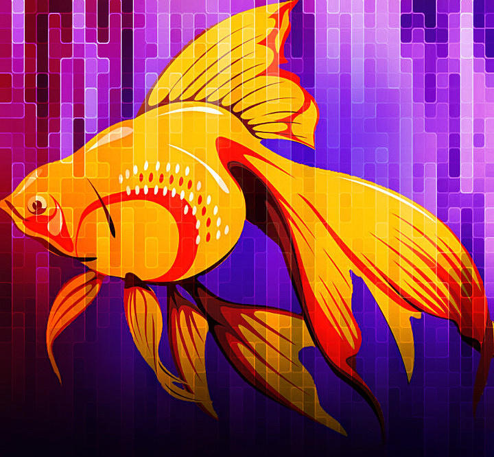 Tropical Goldfish Digital Art