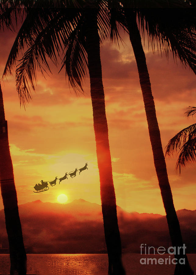 Tropical Hawaii Santa Cards Photograph by Stephanie Laird