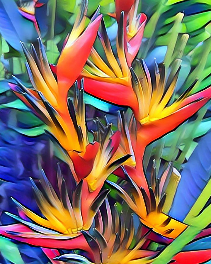 Tropical Heliconia Digital Art by Rachel Lee Young
