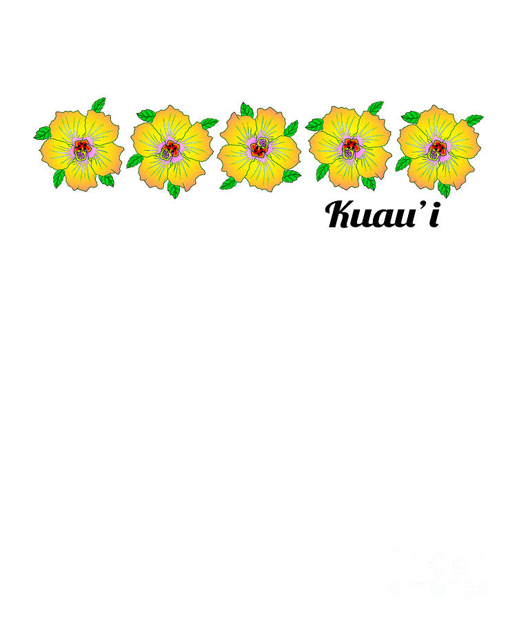 Flower Digital Art - Tropical Hibiscus Flowers Kuauii Hawaii by MacDonald Creative Studios