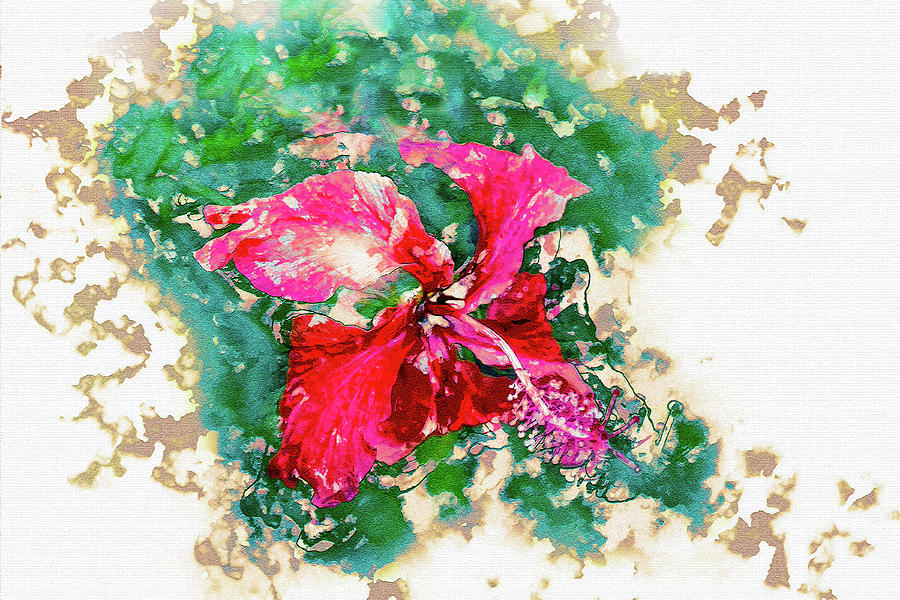 Tropical Hibiscus by Max Huber Tropical Hibiscus by Max Huber