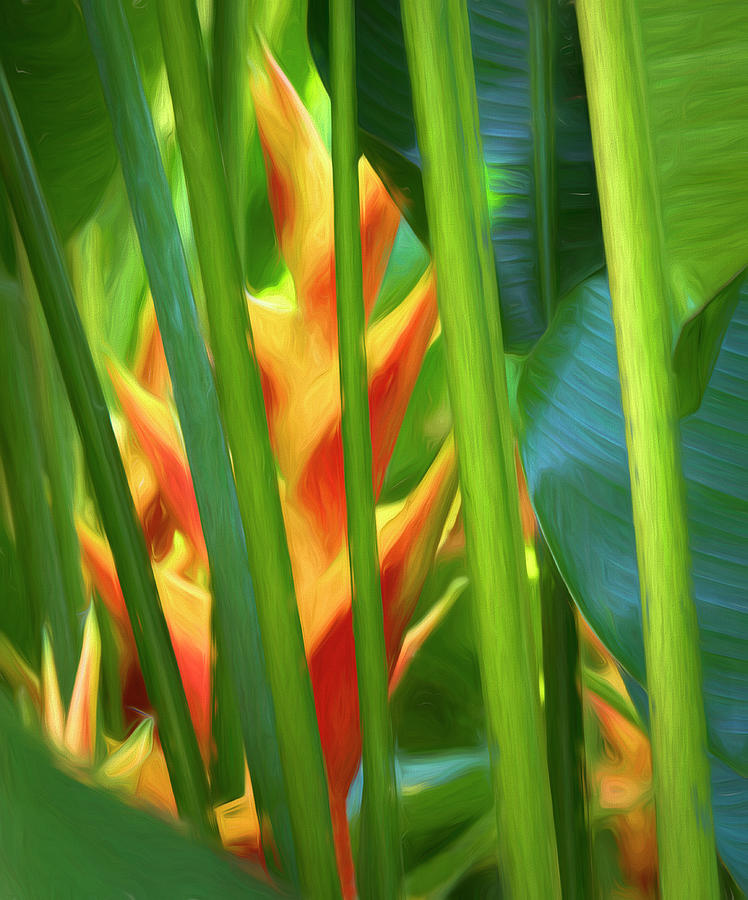 Tropical Intrigue Photograph by Ginger Stein