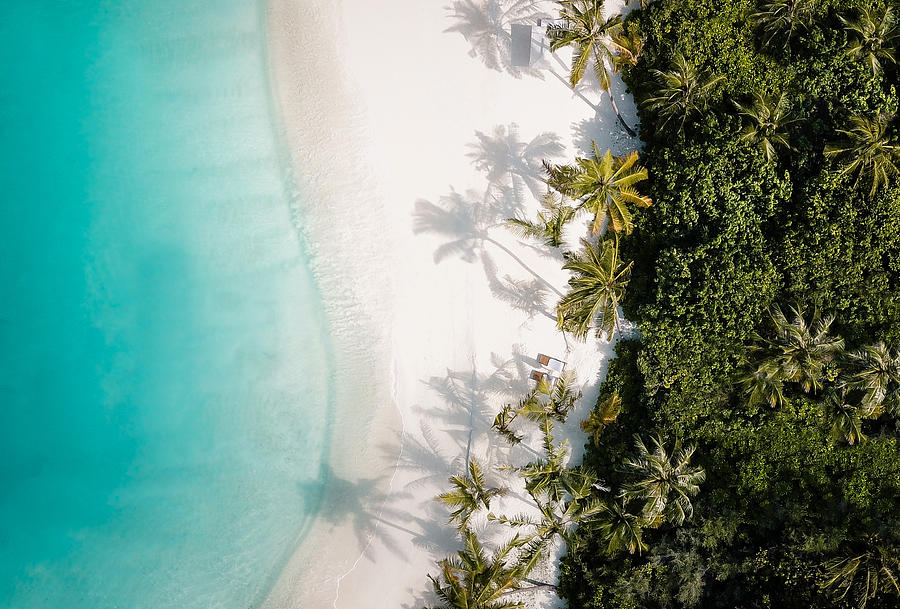 Tropical island palm tree beach from above Photograph by MelanieMaya
