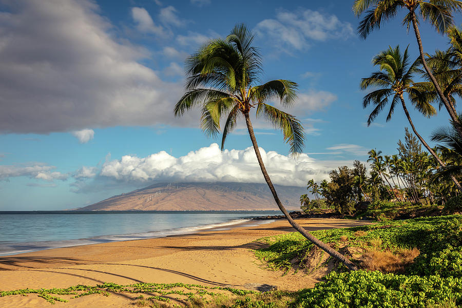Nature Photograph - Tropical Kamaole Beach, Maui, Hawaii by Pierre Leclerc Photography