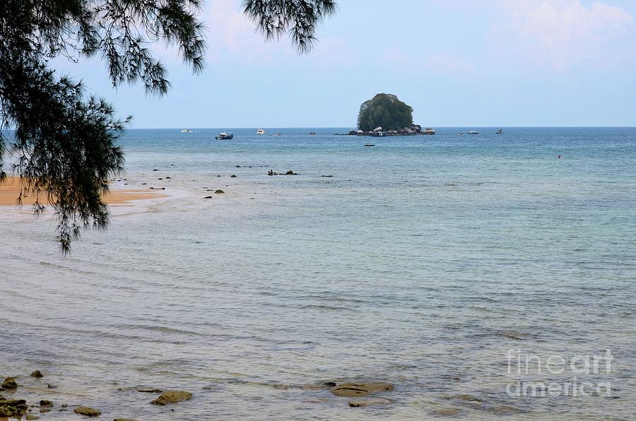 Tropical Kampong Tekek beach Tioman island Malaysia  Photograph by Imran Ahmed