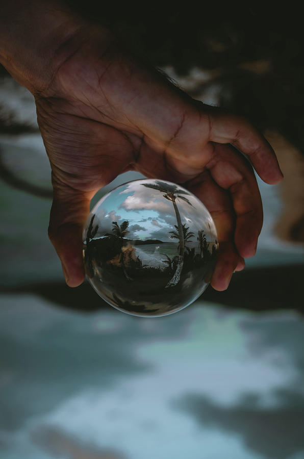 Tropical Lensball Photograph By Kimberly Vega - Fine Art America