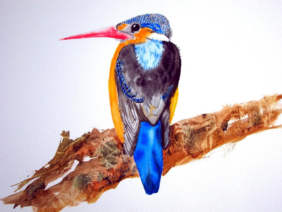Tropical Kingfisher Painting by Dominique Bachelet