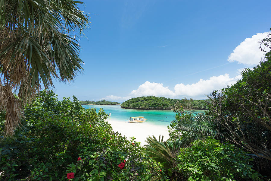 Tropical lagoon beach with clear blue water and white sand surrounded by lush greenery and flowers Photograph by Sam Spicer