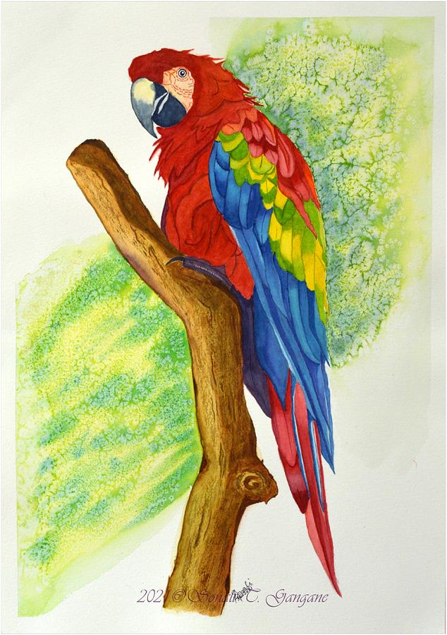 Macaw Painting - Tropical Macaw bird by Sonali Gangane