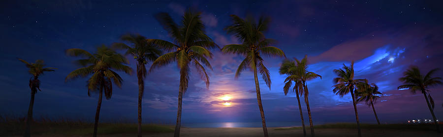Tropical Magic Photograph by Mark Andrew Thomas