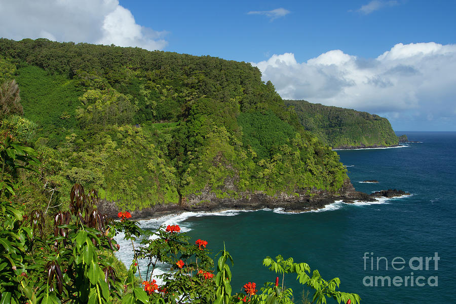 Tropical Maui Photograph by David Olsen