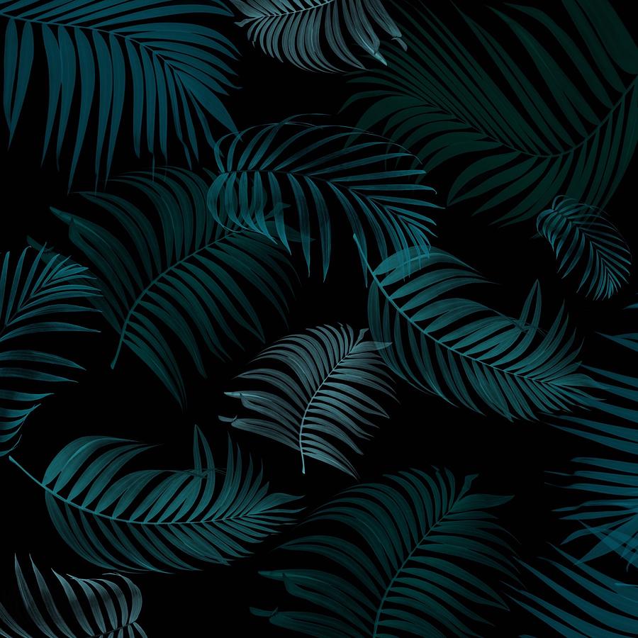 Tropical Midnight Digital Art by Bonnie Bruno