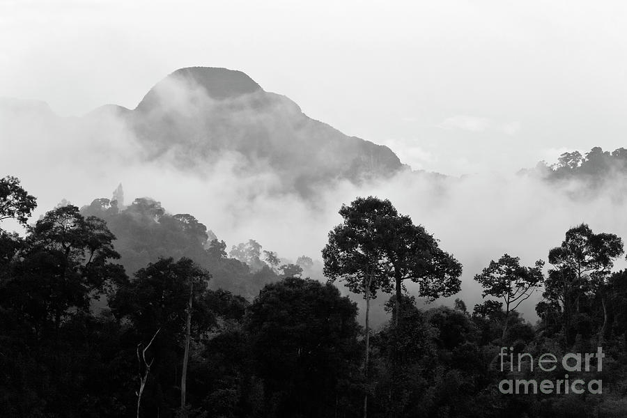 Tropical Mist - Thailand Photograph by Craig Lovell