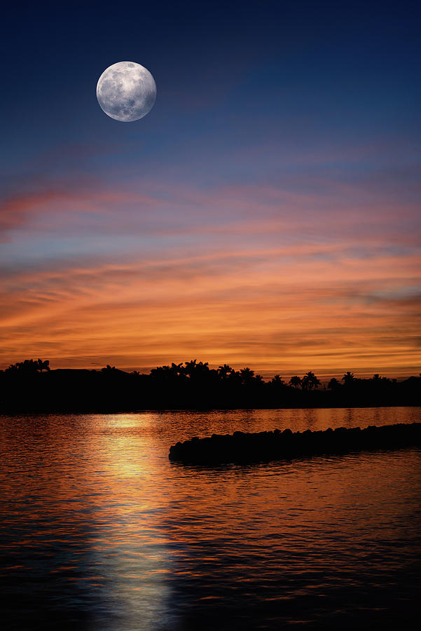 Tropical Moon Photograph by Laura Fasulo