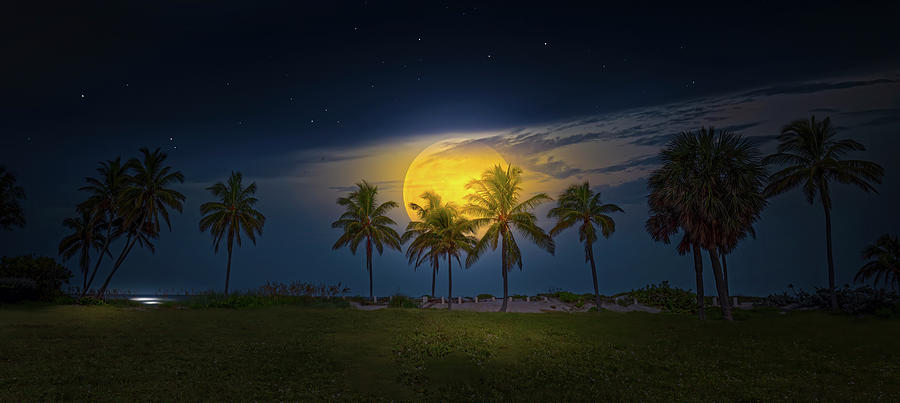 Tropical Moon Panorama Photograph by Mark Andrew Thomas