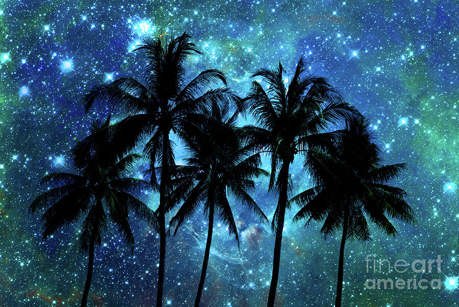 Tropical night, palm trees and stars Photograph by Delphimages Photo Creations
