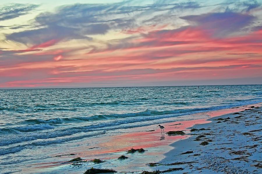 Tropical Nights On The Florida Gulf Coast Photograph by HH Photography of Florida