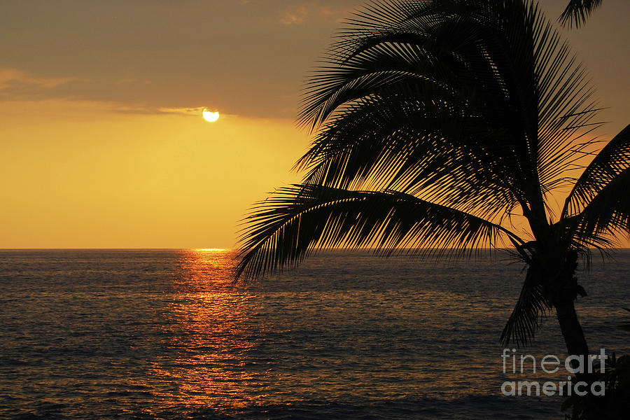 Tropical Ocean Sunset Photograph by Catherine Sherman