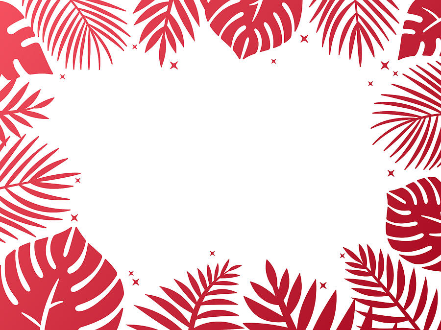 Tropical Palm Background Frame Drawing by Filo