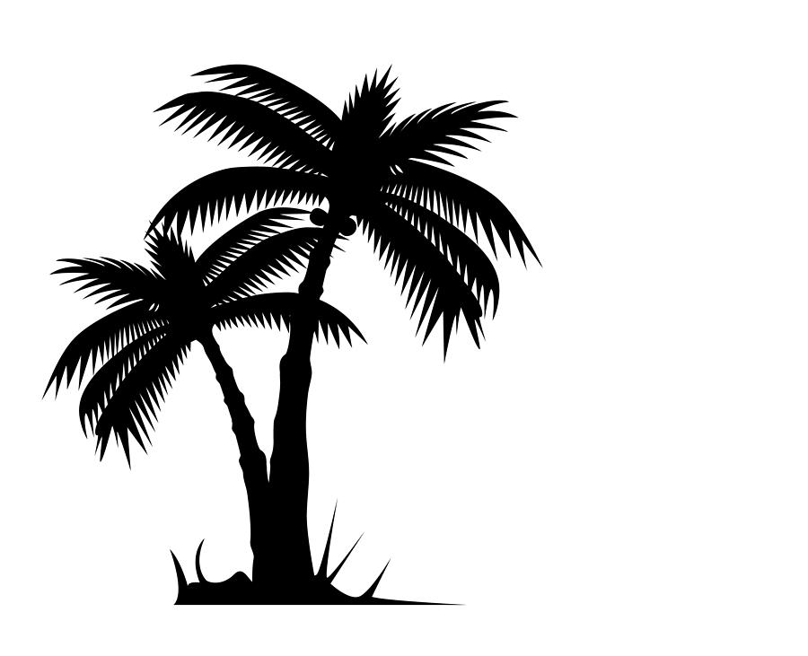 Tropical Palm Tree Or Coconut Tree Silhouette Drawing by GeorgeManga