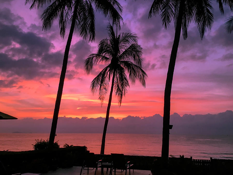 Tropical palm tree sunrise seascape. Thailand. Photograph by Geoff Childs
