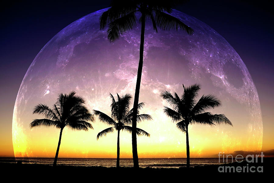 Tropical Palm Trees Silhouette Moon Light Moonrise Photograph by Lane Erickson