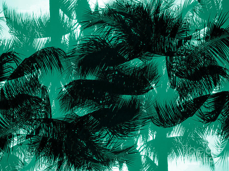 Tropical palms design A Mixed Media by David Lee Thompson