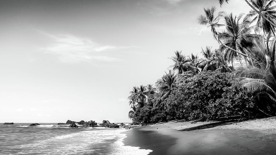 Tropical Paradise Beach in Black and White Photograph by Nicklas Gustafsson