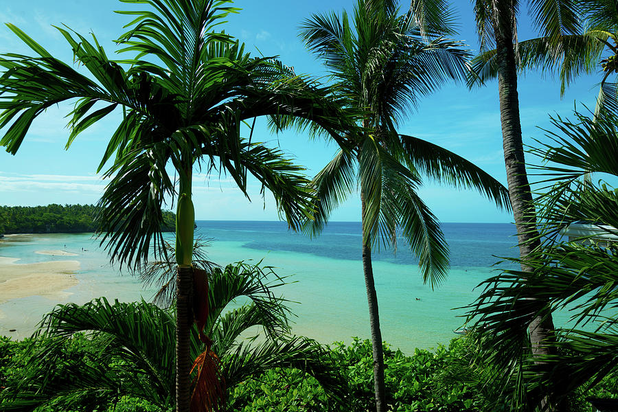Tropical Paradise Photograph by James BO Insogna