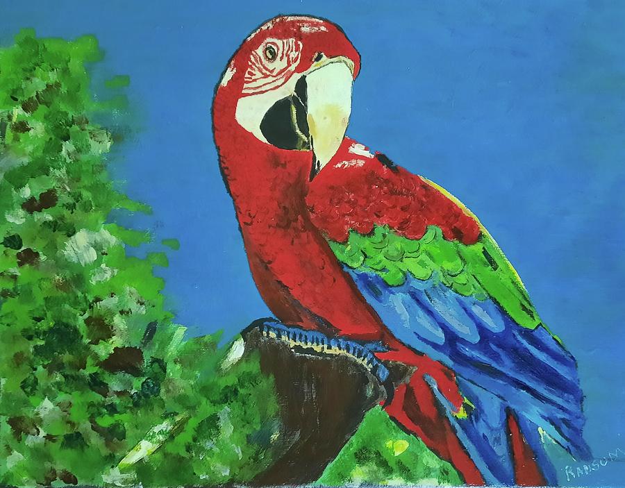 Tropical Parrot Painting by Robert Ransom - Pixels