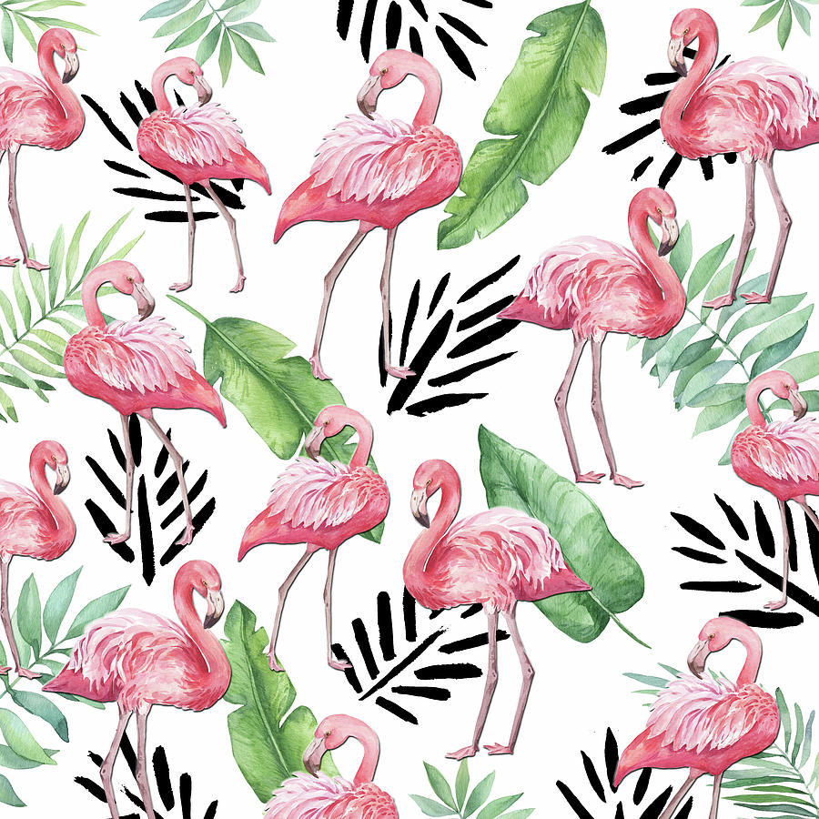Tropical Pink Flamingos Galore Digital Art by HH Photography of Florida