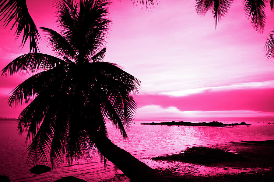 Tropical Pink Photograph by Josu Ozkaritz