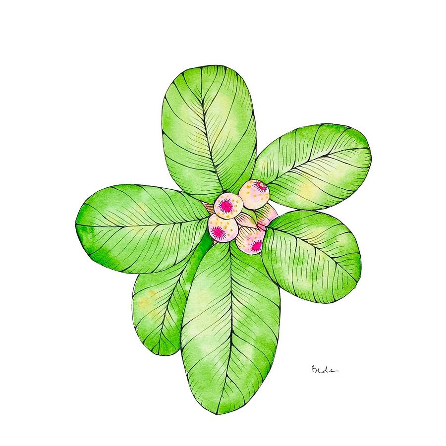 Tropical Painting - Tropical Plant with Pink Berries by Catherine Bede