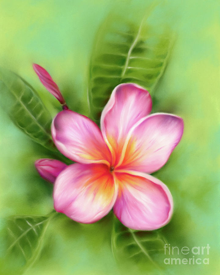 Tropical Plumeria Flower Pink and Orange Painting by MM Anderson