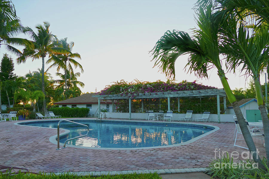 Tropical Pool At Sunset Photograph