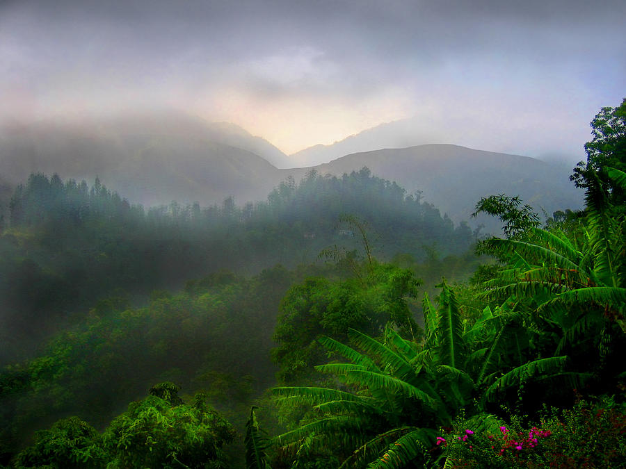 Tropical Rain Photograph by © Rick Elkins