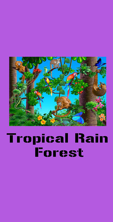 Tropical Rain Forest Digital Art by Dolores Boyd