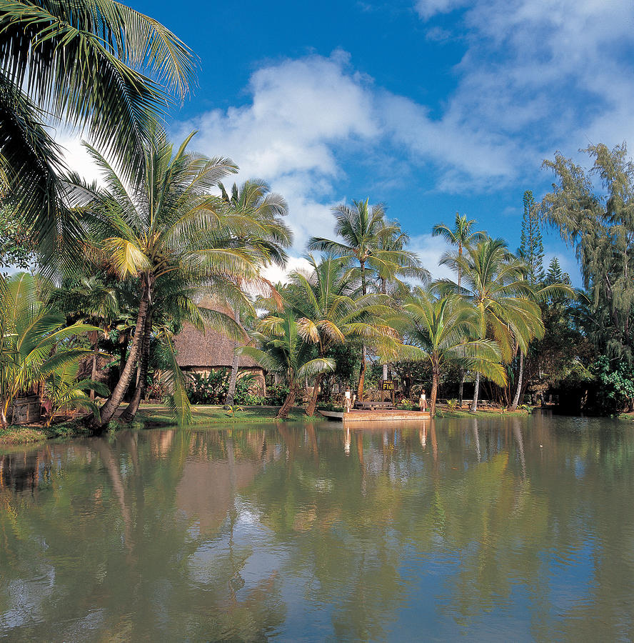 Tropical resort Photograph by Hemera Technologies