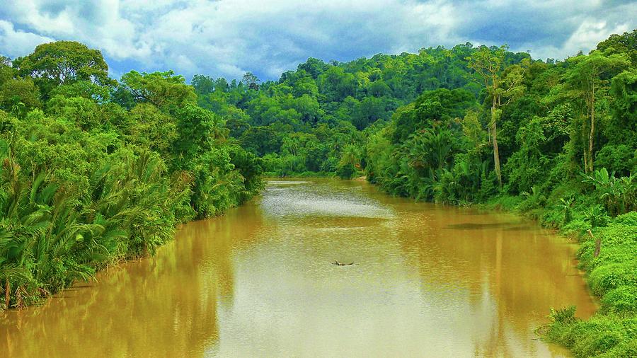 Tropical River Landscape Photograph by Robert Bociaga