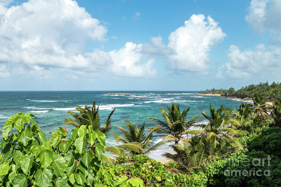 Tropical San Juan, Puerto Rico Photograph by Beachtown Views