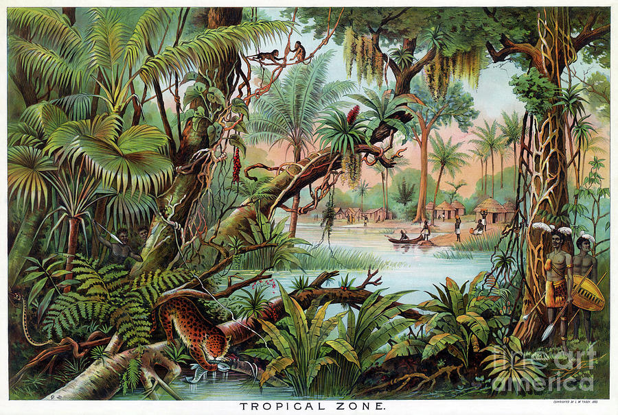 Tropical Scene, 1893 Drawing by Levi Walter Yaggy