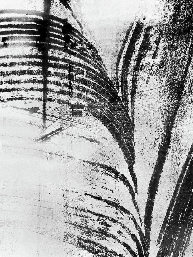 Tropical Shadows Black and White Mixed Media by Sharon Williams Eng