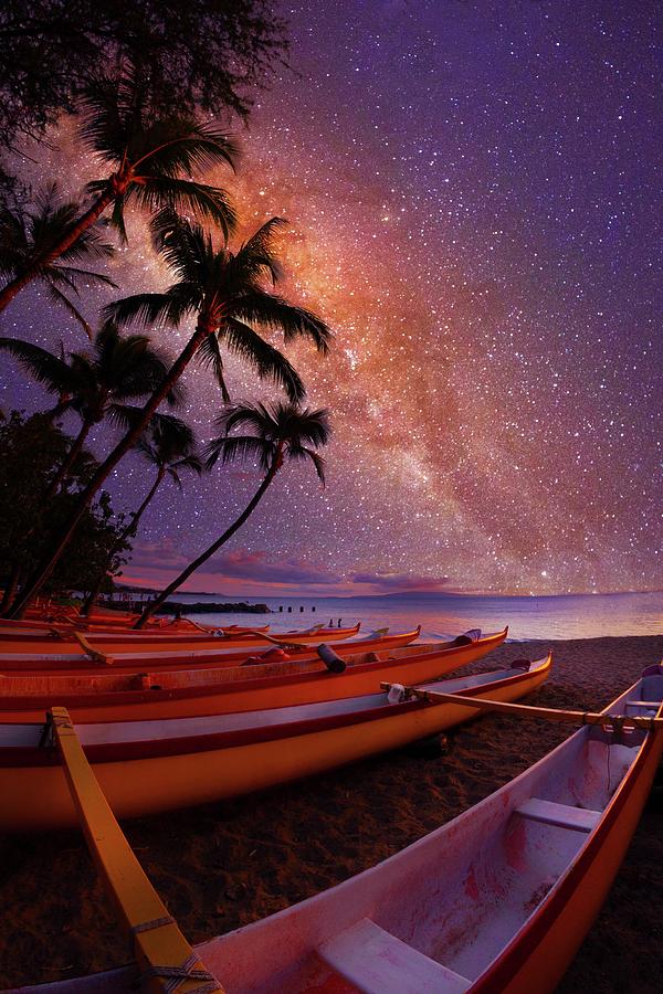 Tropical Stars Photograph by James Roemmling
