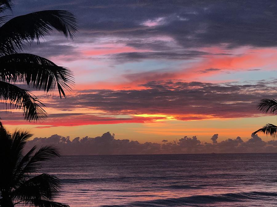 Tropical Sunrise Photograph by Jacqueline Bergeron