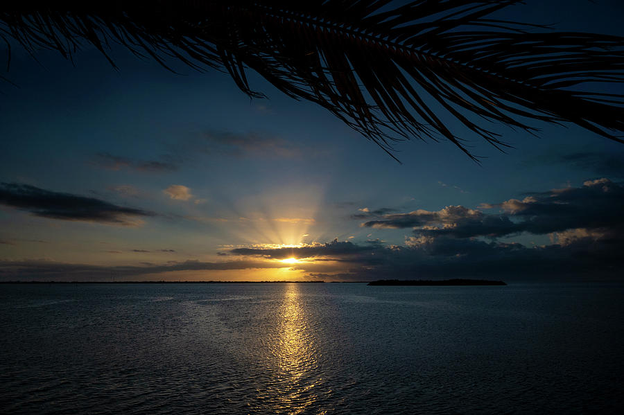 Tropical Sunrise Photograph by Jill Love