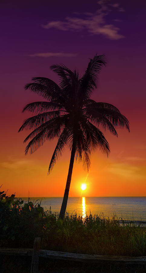 Tropical Sunrise Photograph by Mark Andrew Thomas