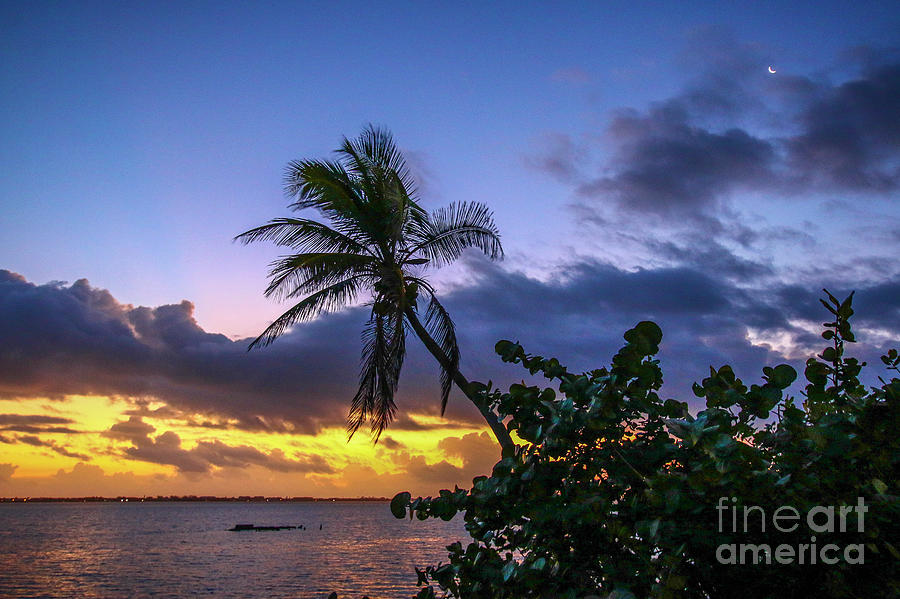 Tropical Sunrise with Moon Photograph by Tom Claud