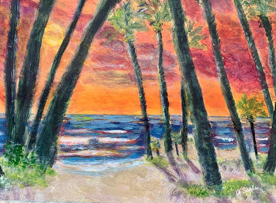 Tropical sunset Painting by Anne Sands